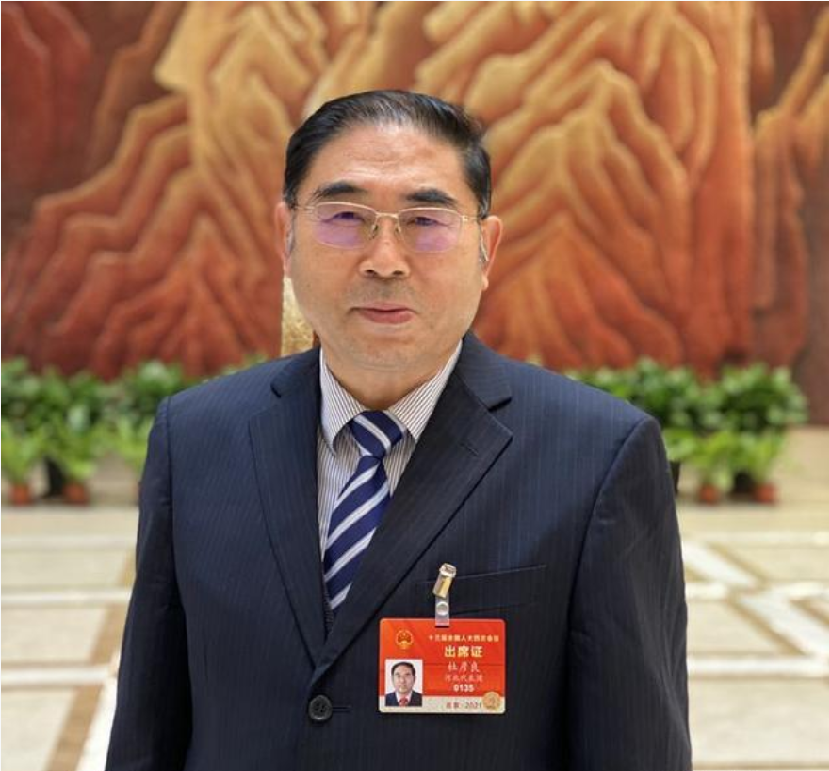 杜彦良代表：应大力研发基于非开挖式的快速修复与应急处置技术