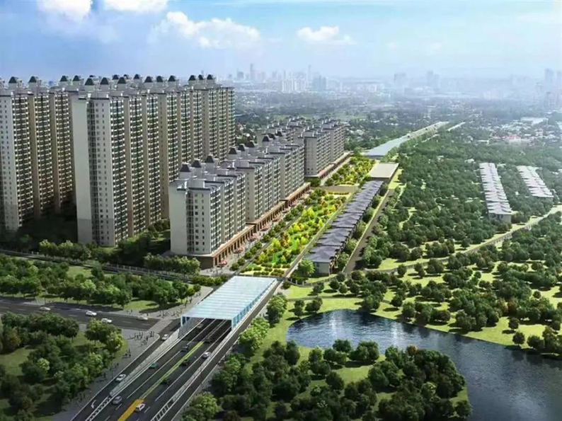 改善“空中蜘蛛网”，生态城大道及地下综合管廊工程建设迎来新节点