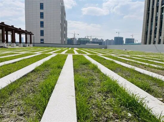 推进海绵城市建设 钱塘区年底前将完成海绵区域化面积6.36平方公里
