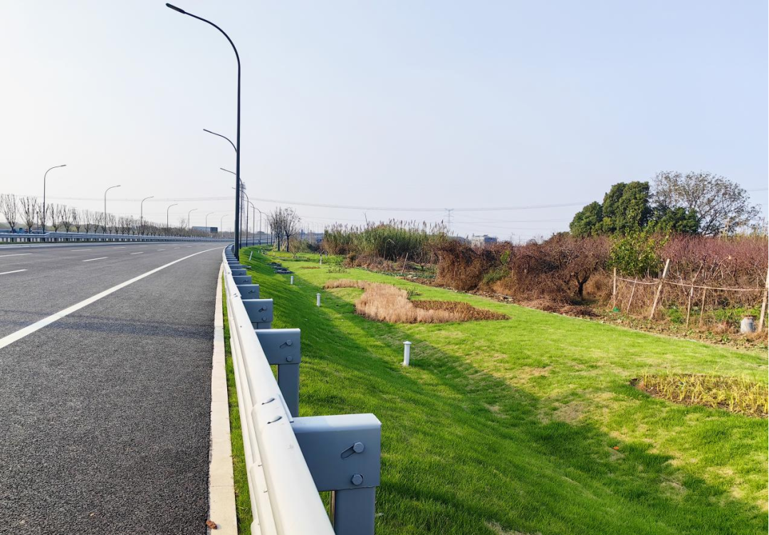 无锡惠山：筑牢城市生态韧性 打造全市第一条“海绵省道”