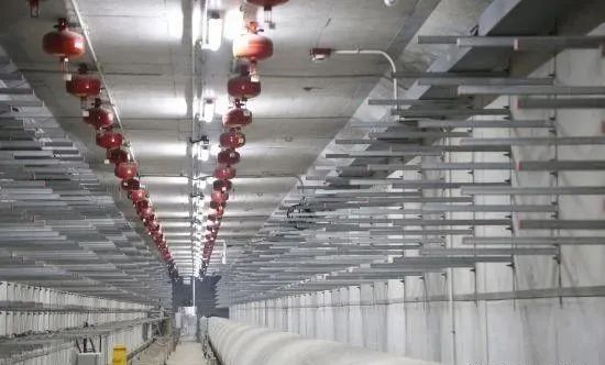 首个!深圳地铁12号线共建管廊项目主体结构通过单位工程预验收