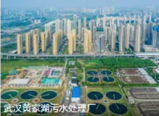 武汉“厂网一体化”实战复盘，告别污水混错接！污水管网整治全流程拆解！