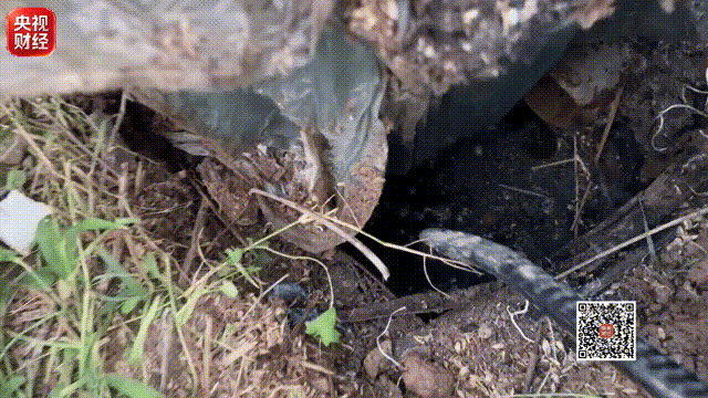 央视财经 | 曝光多地农村治污乱象：重建设轻实效，部分民生工程沦为“面子工程”